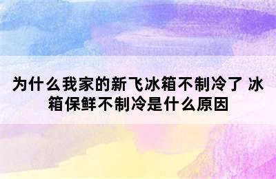 为什么我家的新飞冰箱不制冷了 冰箱保鲜不制冷是什么原因